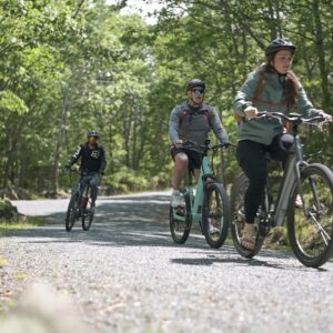 Private Acadia E-Bike Tour