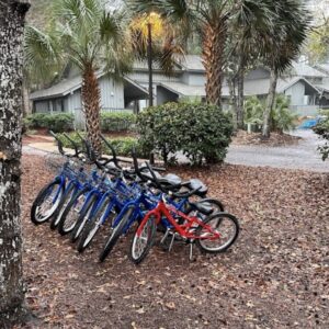Five Day Bike and Beach Gear Rental