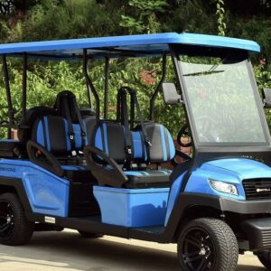 6 Seater Luxury LSVs
