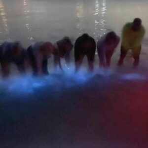 Bioluminescence Kayaking Tour